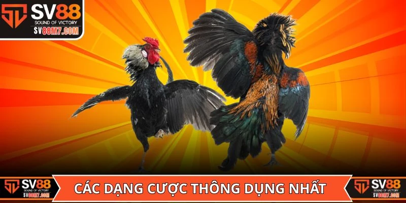 Các dạng cược thông dụng nhất trong Sảnh WS168