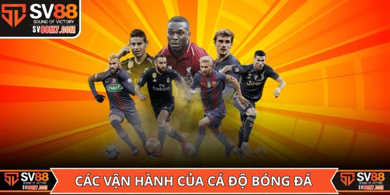 Các vận hành cơ bản của cá độ bóng đá cho người mới