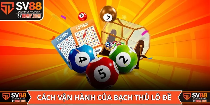 Cách vận hành cơ bản của bạch thủ lô đề mà tân thủ cần nắm
