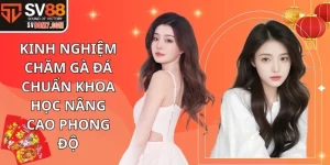 Kinh nghiệm chăm gà đá