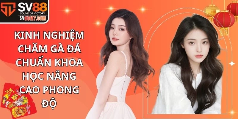 Kinh nghiệm chăm gà đá