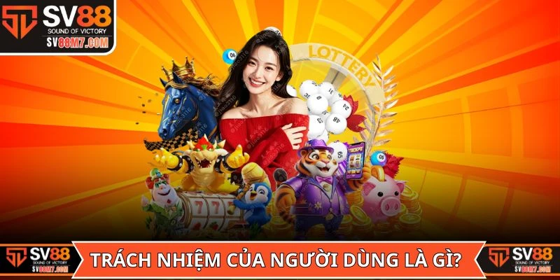 Trách nhiệm của người dùng trong điều khoản điều kiện là gì?